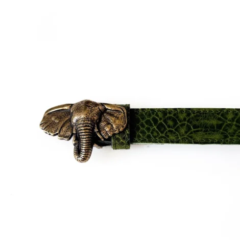 elephant forest belt