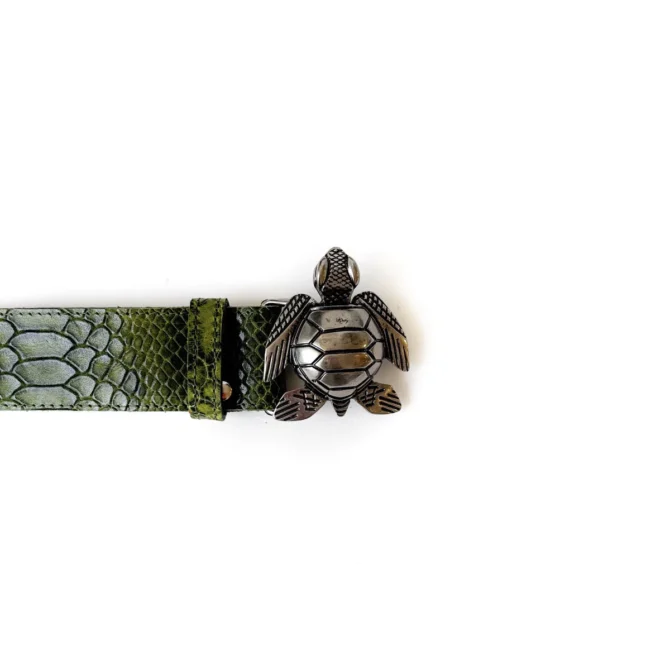 turtle forest belt